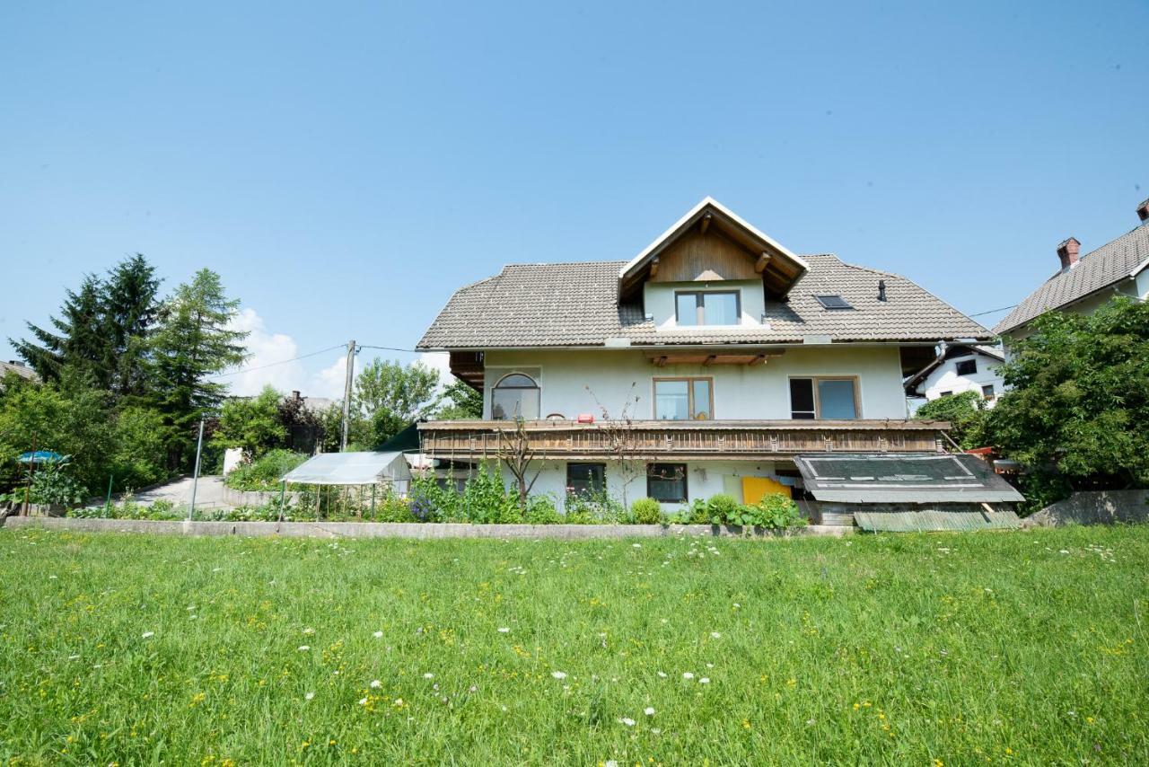 Mateja House - Apartments In Zirovnica Rodine Exterior foto
